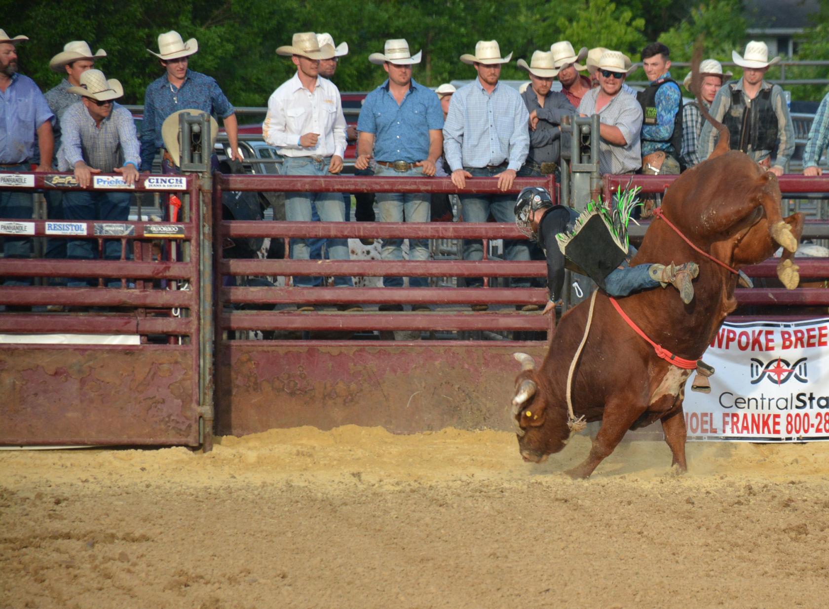 Elroy Fair 10